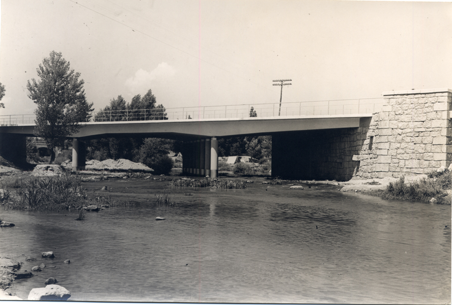 Vista del puente