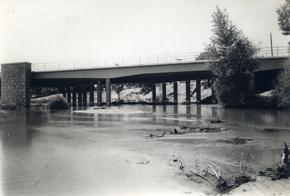 Vista del puente