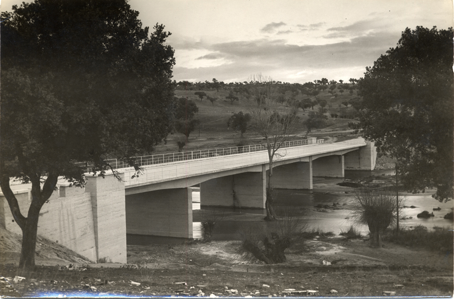 Perspectiva del puente