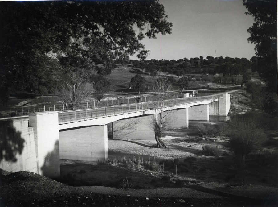 Perspectiva del puente