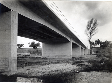 Perspectiva del puente