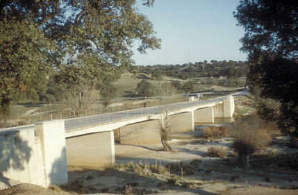 Perspectiva del puente