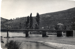 Vista del puente