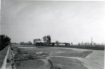 Vista del puente