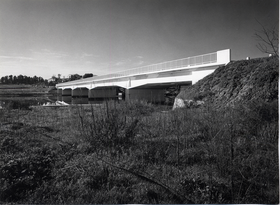 Vista del puente