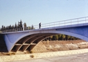 Vista del puente