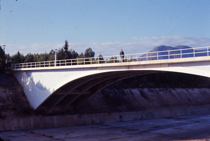 Vista del puente