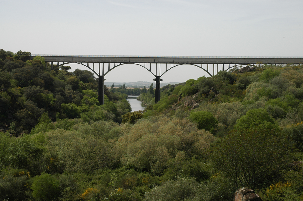 Vista del acueducto