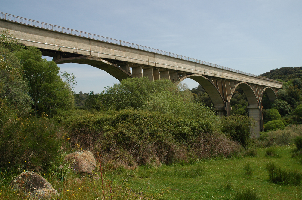 Perspectiva del acueducto