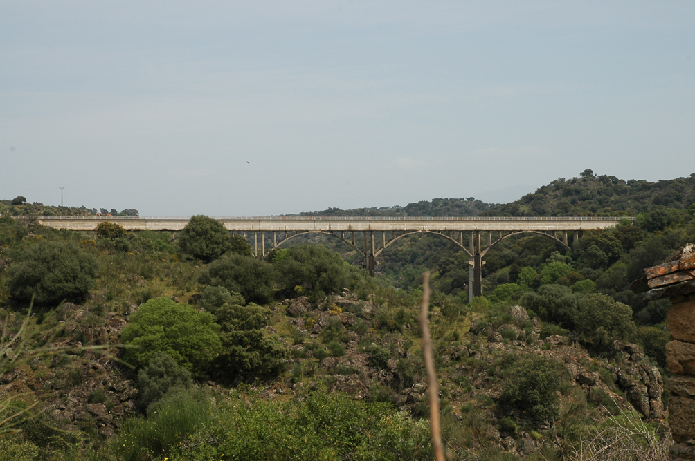 Vista del puente