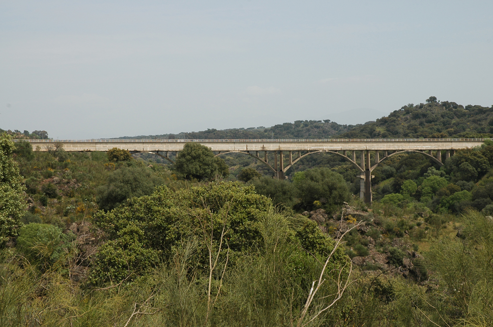 Vista del puente