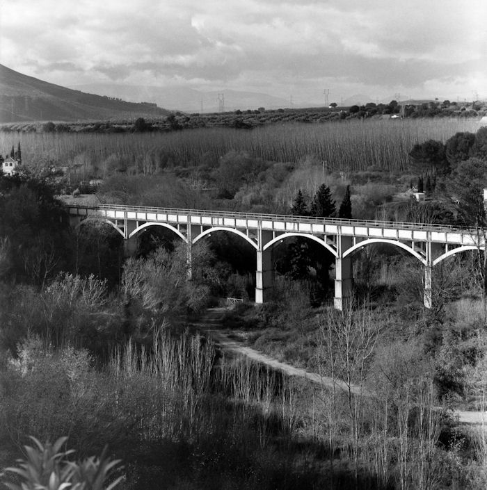 Vista general del puente