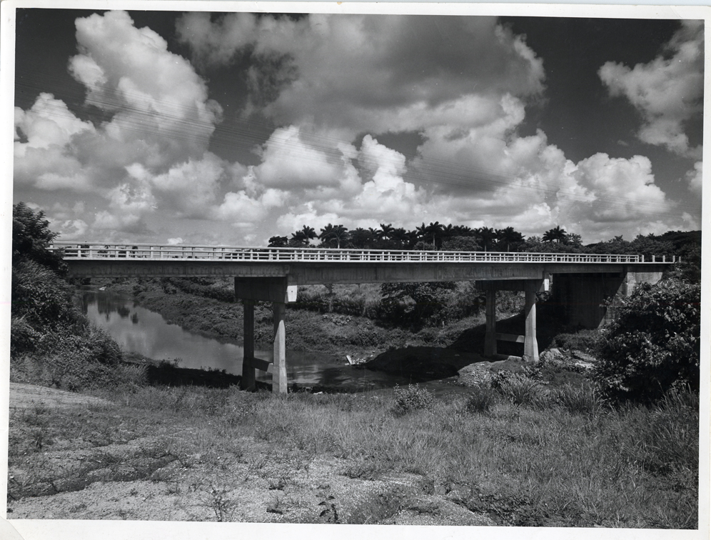 Vista del puente