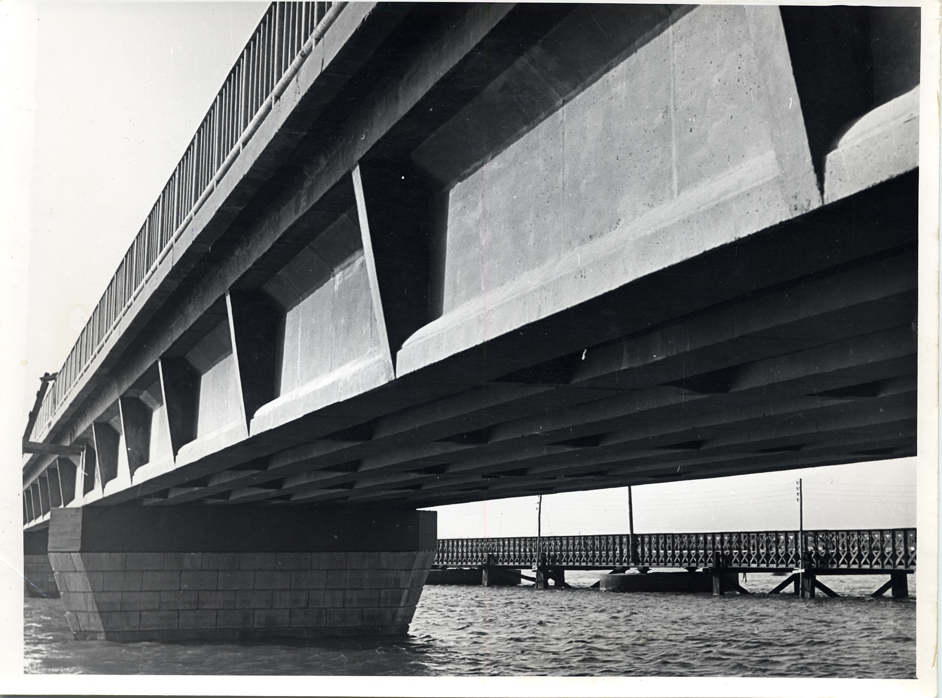 Perspectiva del puente