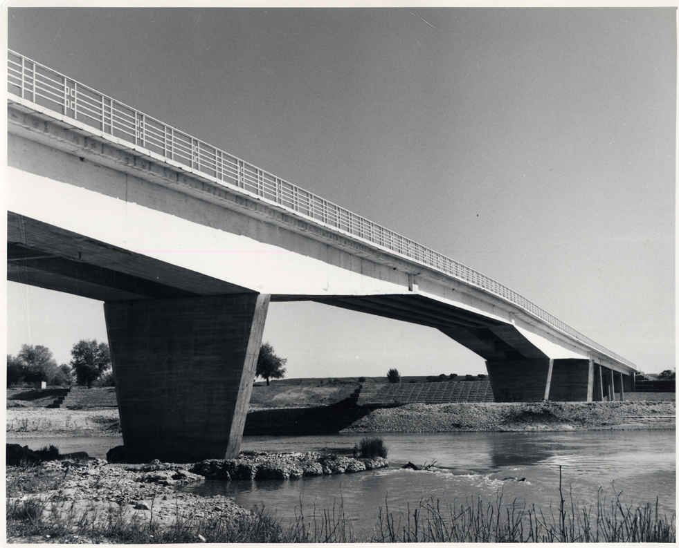 Perspectiva del puente