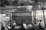 Detalle del puente en construccin