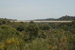 Vista del puente