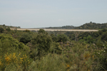 Vista del puente