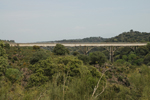 Vista del puente